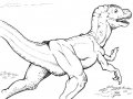 cs-nanotyrannus-sm.jpg